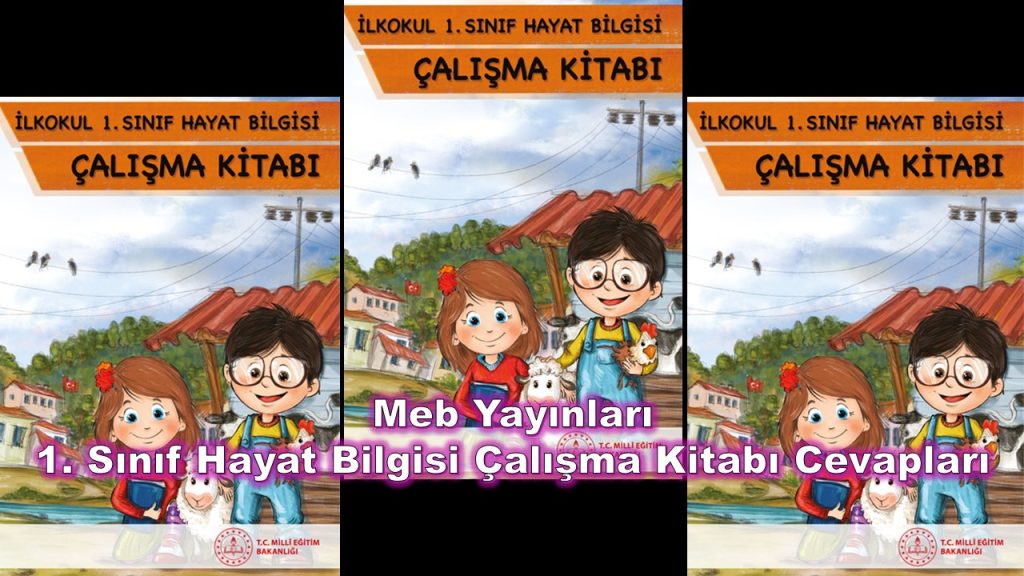 1. Sınıf Hayat Bilgisi Çalışma Kitabı Cevapları Meb Yayınları