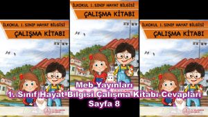 1. Sınıf Hayat Bilgisi Çalışma Kitabı Cevapları Meb Yayınları Sayfa 8