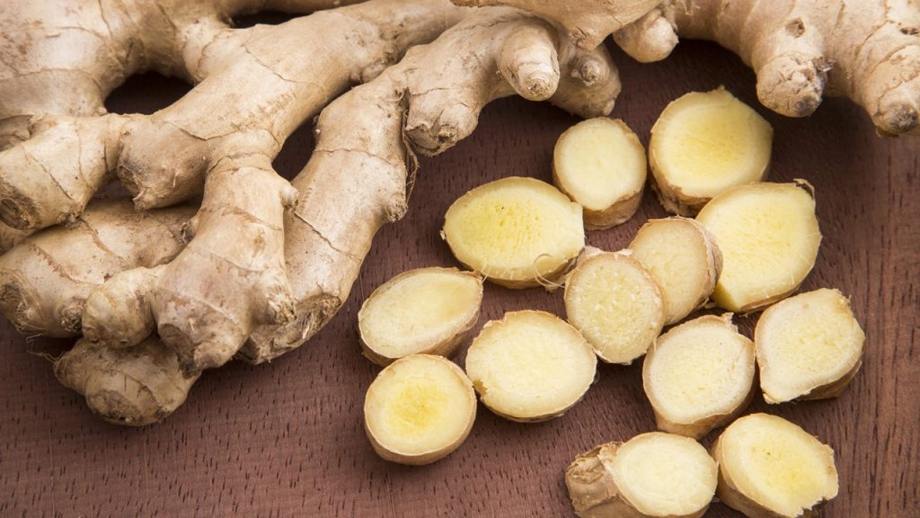 Hangisi genellikle kök tarafı kullanılan bitkilerdendir?