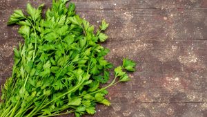 Her şeye karışan insanlar için yapılan yakıştırma hangisidir?