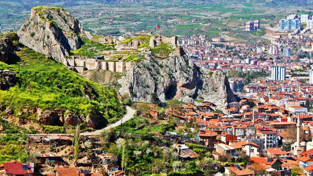 Sezar hangi şehir için Geldim, gördüm, yendim cümlesini kurmuştur?