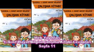 1. Sınıf Hayat Bilgisi Çalışma Kitabı Cevapları Meb Yayınları Sayfa 11