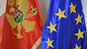 Aşağıdaki ülkelerden hangisi Türkiye ile birlikte AB adaylık statüsünde bulunmaktadır?