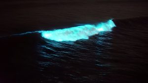 Hangisi Ay’ın Dünya’ya yaklaşmasının bilimsel etkilerinden biridir?