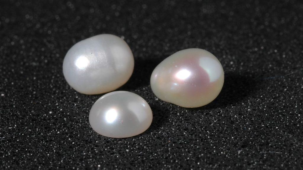 Hangisi organik süreçle oluşmuş bir takı malzemesidir?