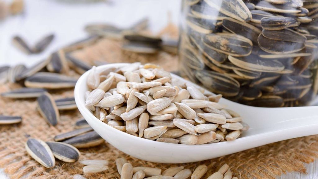 Hangisinin başlayınca bitmeden bırakılamadığına dair genel bir kanı vardır?