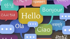 Lehçeleri veya dilleri farklı olan topluluklar arasında iletişim aracı olarak kullanılan dil