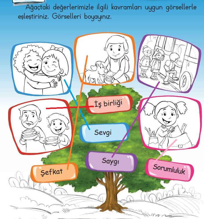 1. Sınıf Hayat Bilgisi Çalışma Kitabı Cevapları Meb Yayınları Sayfa 43