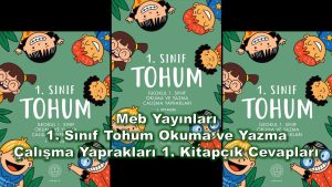 1. Sınıf Tohum Okuma ve Yazma Çalışma Yaprakları 1. Kitapçık Cevapları Meb Yayınları