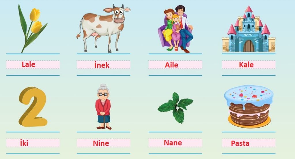 1. Sınıf Tohum Okuma ve Yazma Çalışma Yaprakları 1. Kitapçık Cevapları Meb Yayınları Sayfa 7