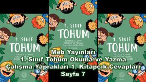 1. Sınıf Tohum Okuma ve Yazma Çalışma Yaprakları 1. Kitapçık Cevapları Meb Yayınları Sayfa 7