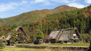 1960-1970 yılları arasında Türk romanının temel kaynağı hangisi olmuştur?