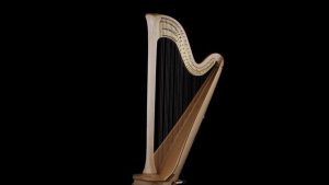 47 telli ve 7 pedallı klasik batı müziği çalgısının adı nedir?