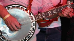 Anadolu cümbüşüne benzeyen Afrika kökenli telli çalgının adı nedir?