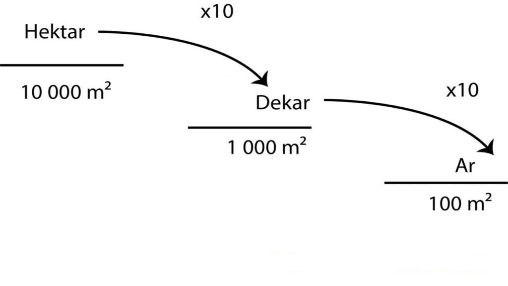 Ar, hektar ve dekar büyükten küçüğe doğru hangisinde doğru sıralanmıştır?
