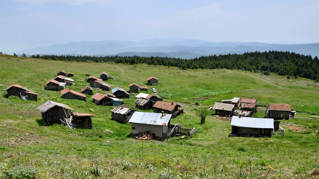 Dağlık, yüksek bölgelerde yazın havası iyi ve serin olduğu için göç edilen yere ne ad verilir?
