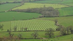 Hangisi hayvan otlatılan yer anlamında kullanılan sözcüklerden biri değildir?