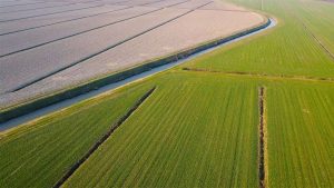 İçinden su akıtmak için toprak kazılarak yapılan açık oluğa ne ad verilir?