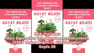 Özel Öğrenciler İçin Uyarlanmış Etkinlikler (UYET) Hayat Bilgisi 1. Cilt Cevapları Meb Yayınları Sayfa 30