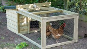 Tavuk ve hindi gibi evcil hayvanların barındığı kapalı alana ne ad verilir?