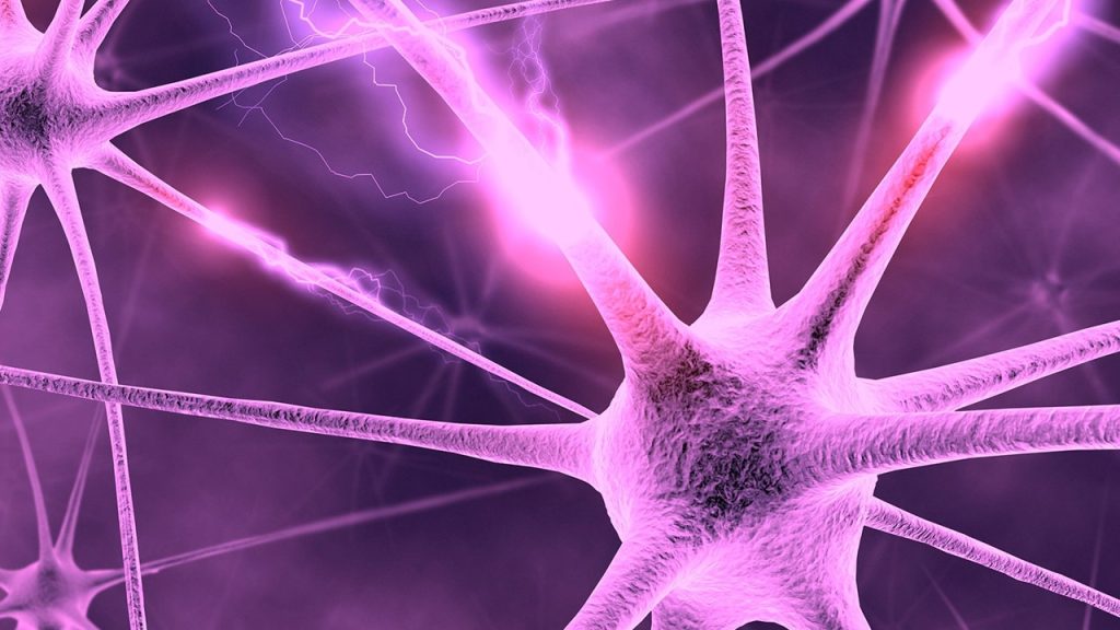 Ara nörondan alınan bir uyarının efektör organa taşınması sırasında geçen zamanı aşağıdakilerden hangisi etkilemez?