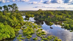 Aşağıdakilerden hangisinde coğrafyanın dağılış ilkesinden yararlanılmıştır?