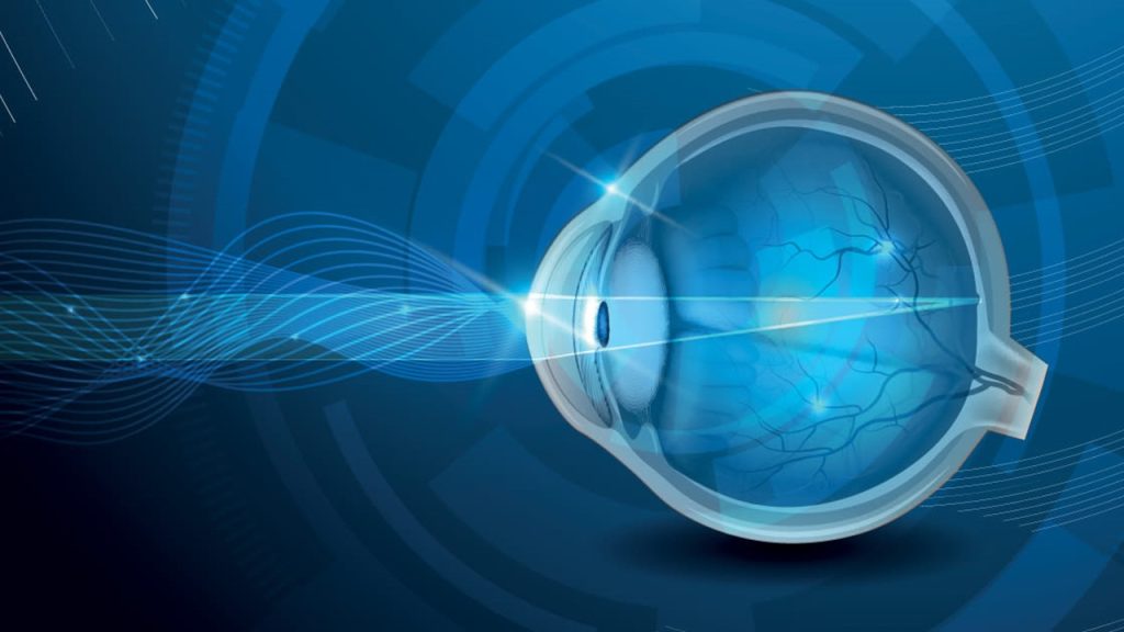 Biyoloji Ders Notları – Duyu Organları (Göz) Ders Notları