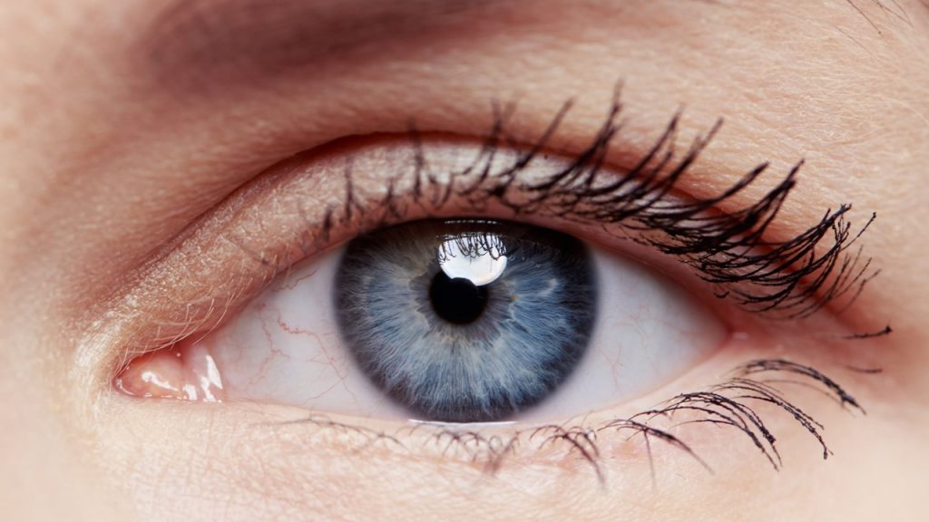 Göze gelen ışınların kırıldığı yerler hangi seçenekte bir arada verilmiştir?