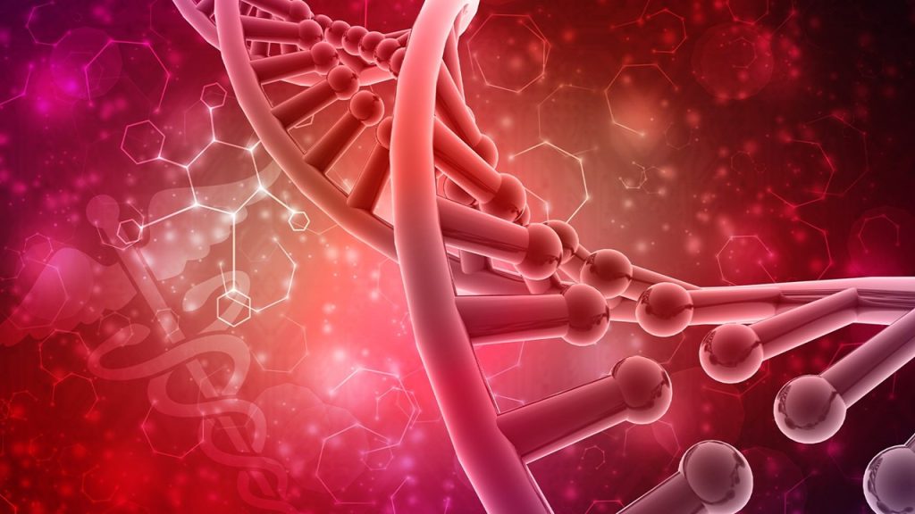 İnsan vücudunda bulunan protein, amino asit veya steroit yapılı olabilen hormonlar ile ilgili; ifadelerinden hangileri doğrudur?