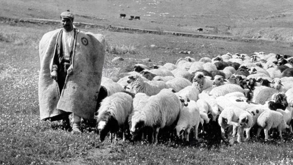 Rüyada Temiz yada Yeni Aba Görmek Ne Anlama Gelir?