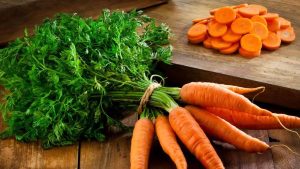 Uçmasını istediğiniz köpeğe ne denir?