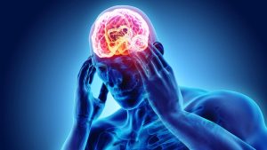 Vücudumuzdaki otonom sinir sistemine ait nöronların hücre gövdeleri merkezi sinir sistemi kısımlarından hangilerinde bulunamaz?