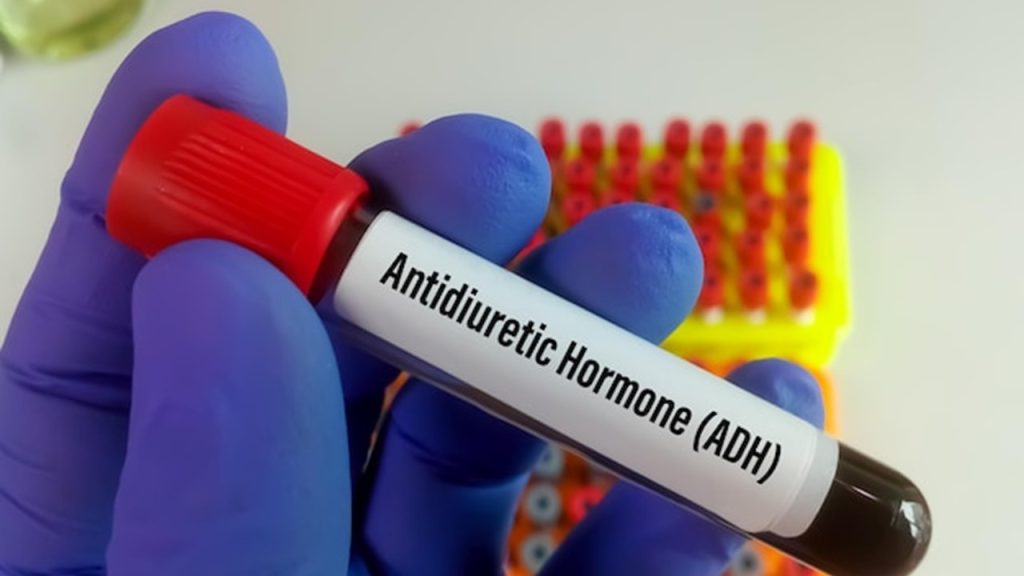 Yukarıdaki hormonlardan hangileri kan basıncı ve hacmini düzenler?