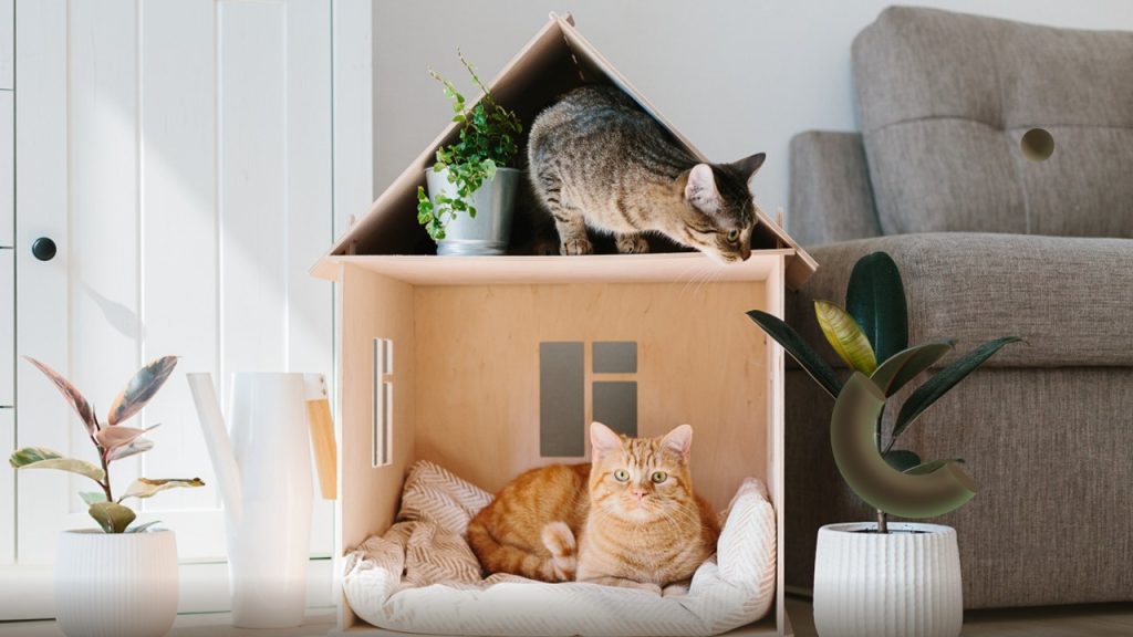 Aşağıdakilerden hangisi canlıların doğal ortama uyum sağlamasına örnek gösterilemez?