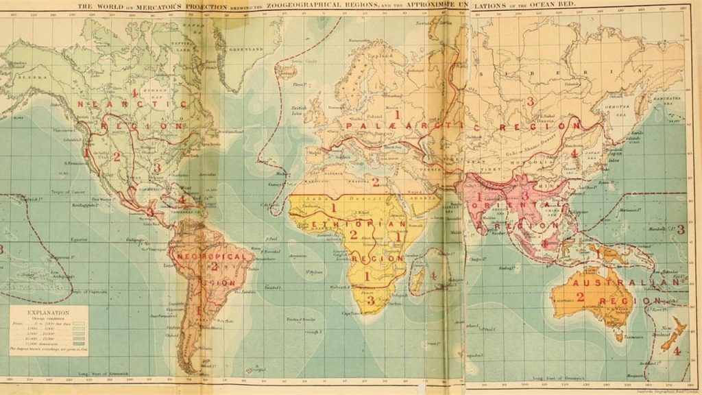 Bu açıklamalarda numaralandırılan cümlelerden hangisinde coğrafyanın dağılış ilkesi kullanılmıştır?