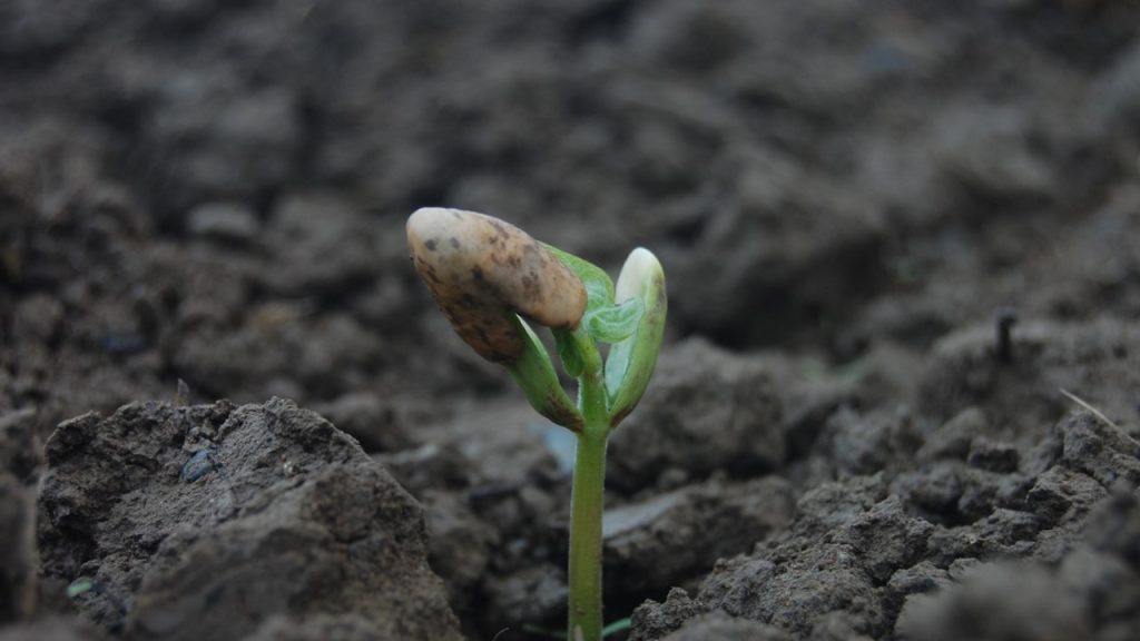Bu parçada geçen altı çizili söz öbeğinin cümleye kattığı anlam aşağıdakilerden hangisidir?