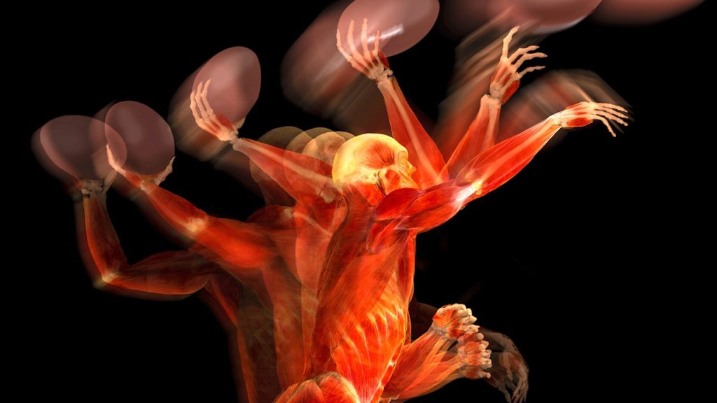 Çizgili kasın kasılıp, gevşemesi sırasında olaylarının gerçekleşme sırası seçeneklerden hangisinde doğru olarak verilmiştir?