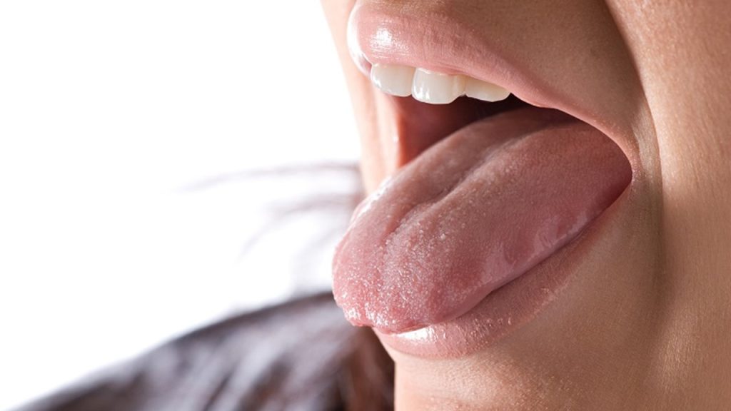 Duyu Organları – Dil Özet