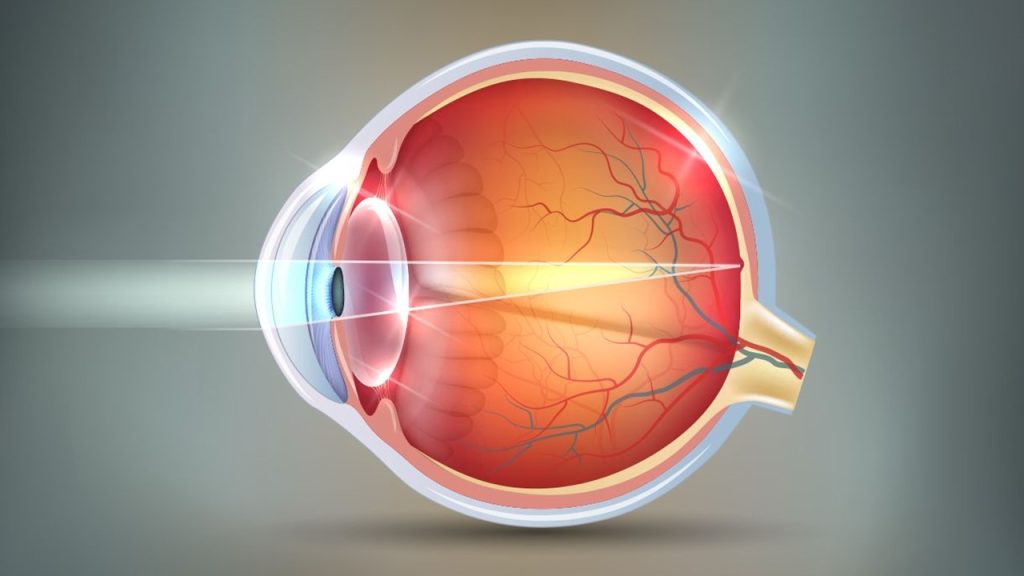 Göze gelen ışık yapılarından hangilerinden geçerken kırılır?