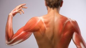 Kas Zafiyetine İyi Gelen Bitkisel İlaçlar