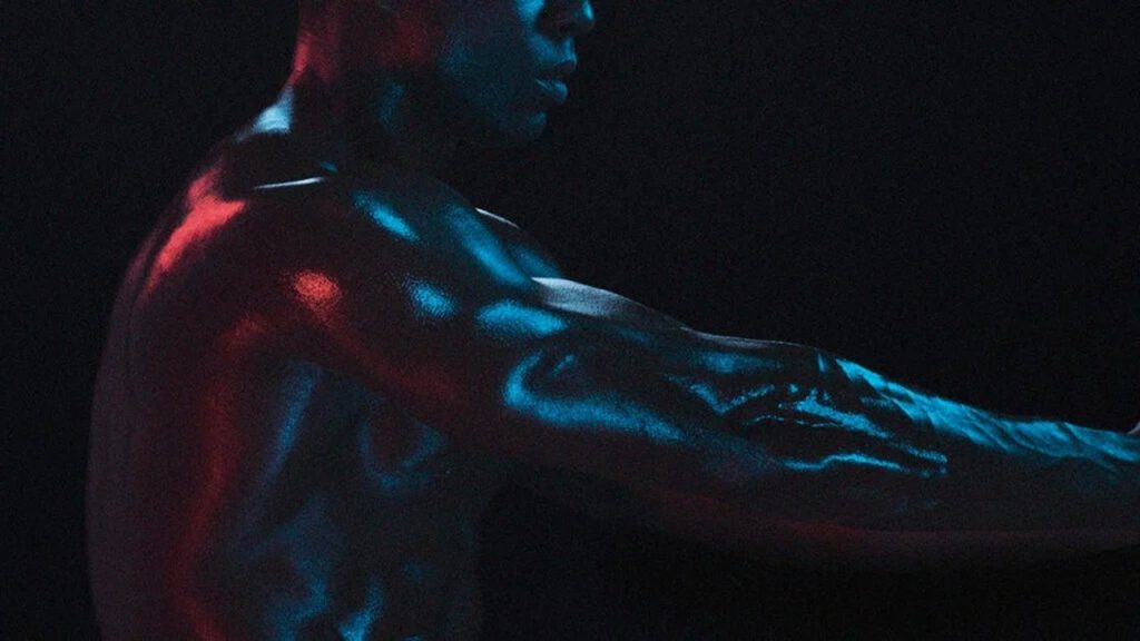 Kasta gerçekleşen tepkimelerinden hangileri kas dinlenirken gerçekleşebilir?