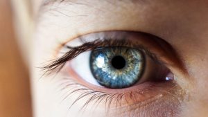 Korneaya çarpıp kırılan ışınların, optik sinirde impuls oluşturmasında olaylarının gerçekleşme sırası aşağıdakilerden hangisinde verilmiştir?