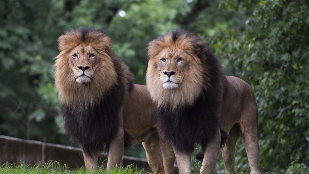 Numaralanmış atasözlerinin hangisinin parantez içinde verilen açıklaması yanlıştır?