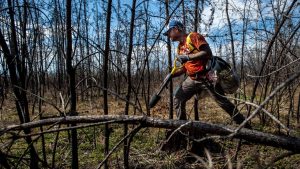 Aşağıdaki sözcük çiftlerinden hangisi, aralarındaki anlam ilişkisi yönüyle diğerlerinden farklıdır?