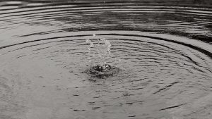 Aşağıdakilerden hangisi anlamca bu cümleye en yakındır?