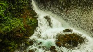 Ayselin İçin Priv İsimleri