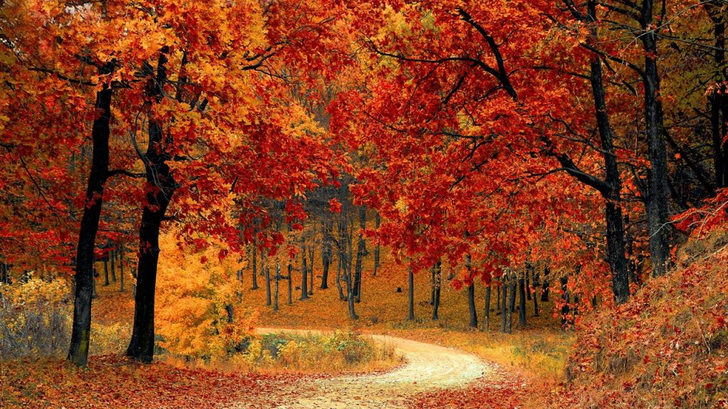 Bu cümleye göre yargılarından hangilerine ulaşılabilir?