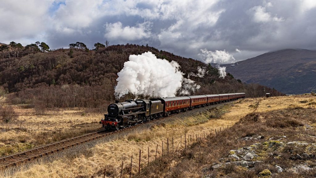 Buna göre aşağıdaki dizelerin hangisinde yakın anlamlı sözcükler bir arada kullanılmıştır?
