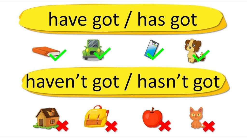 Has hasn’t ile ilgili olumlu olumsuz cümleler