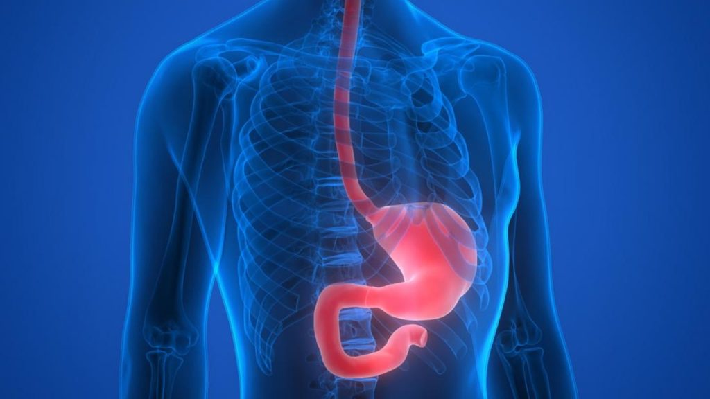 İnsan sindirim kanalından gerçekleşen aşağıdaki olaylardan hangisi mekanik sindirime örnek verilemez?